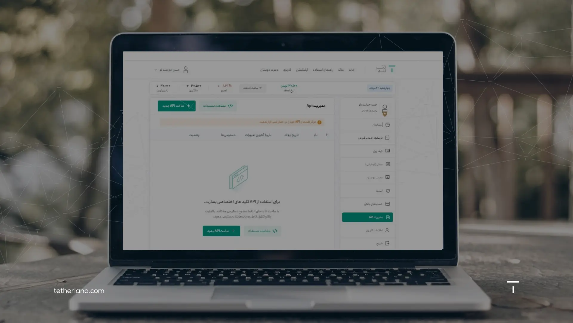 سرویس API تترلند